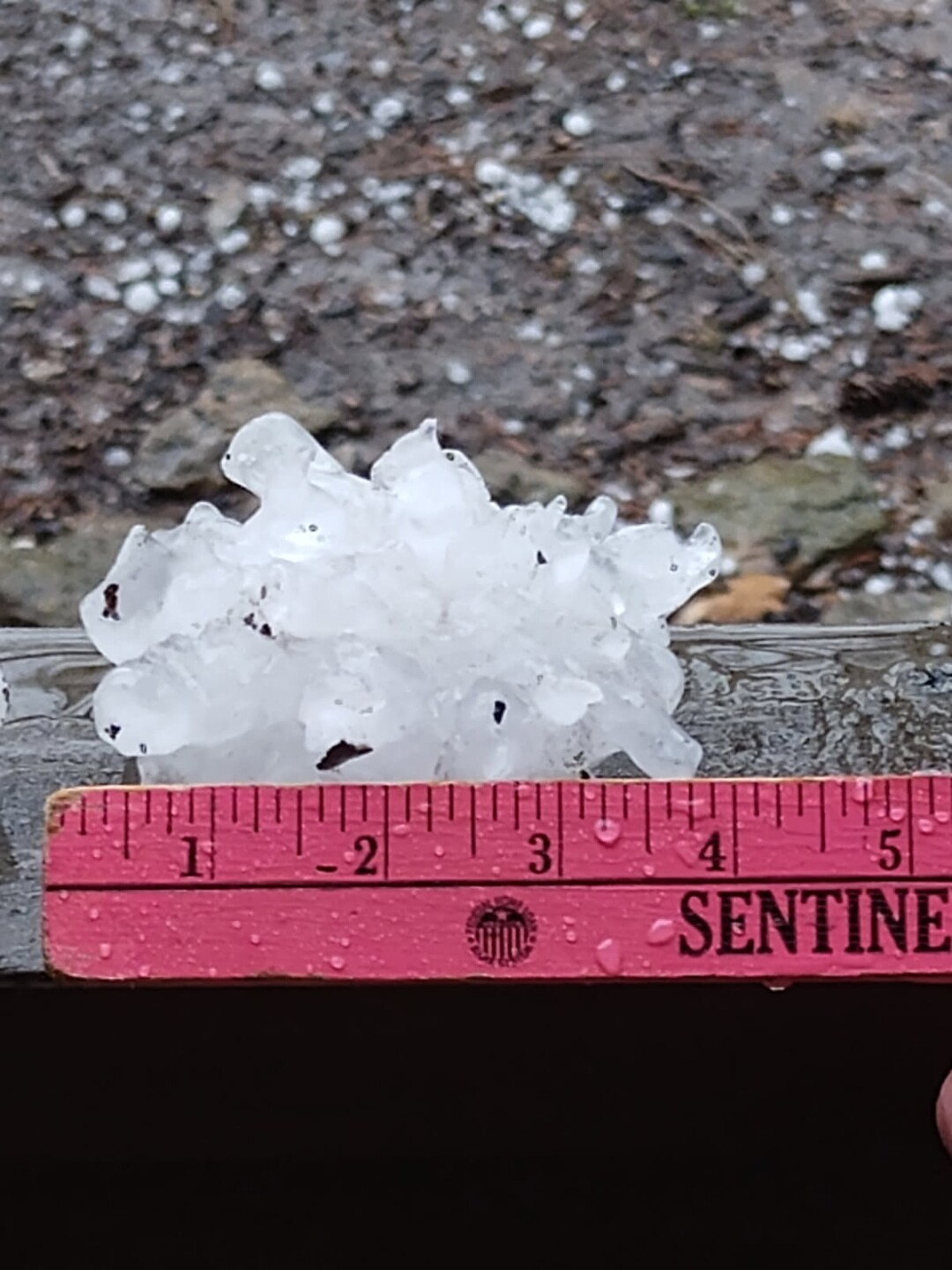 parkville hail ruler 2.jpeg