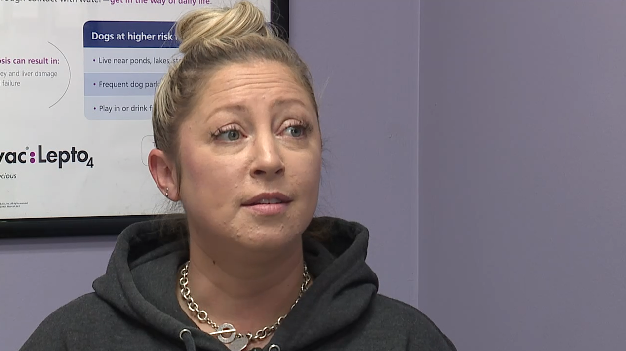 Screenshot 2026-01-26 at 10.33.50 PM.png