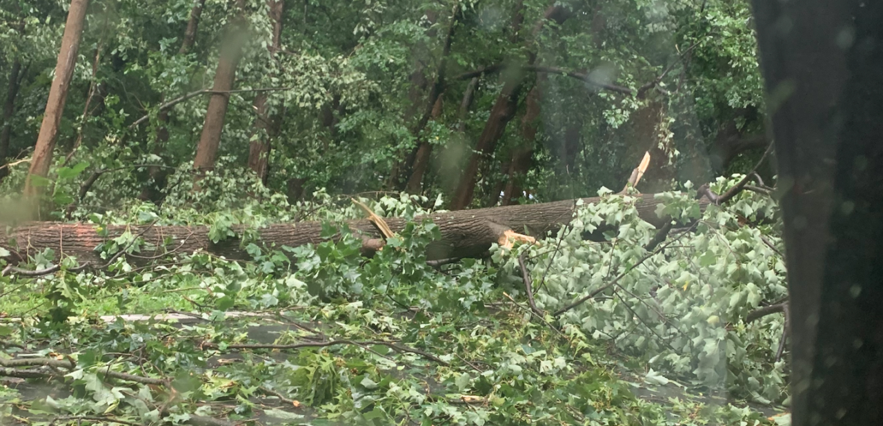 Screen Shot 2022-07-12 at 6.21.37 PM.png