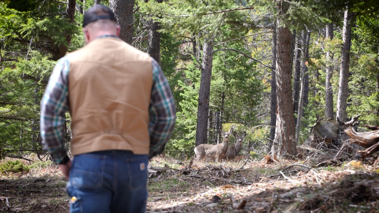 wildland-urban interface