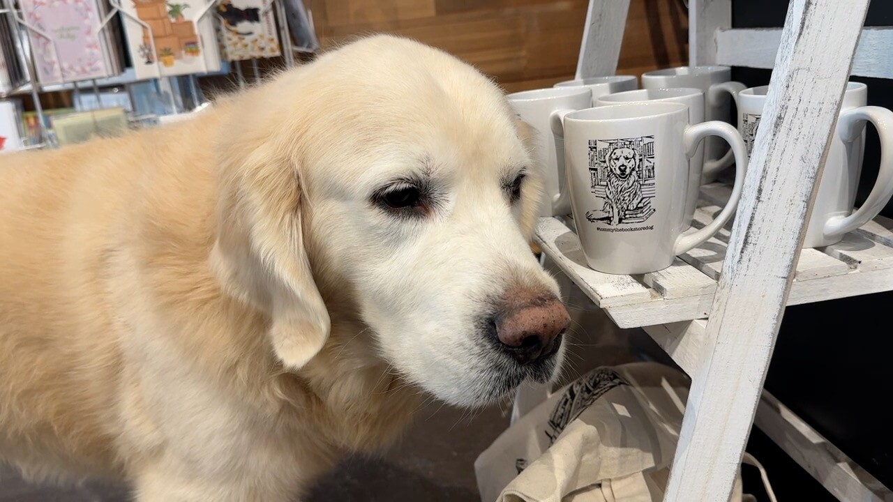 tommy and his mug.jpg