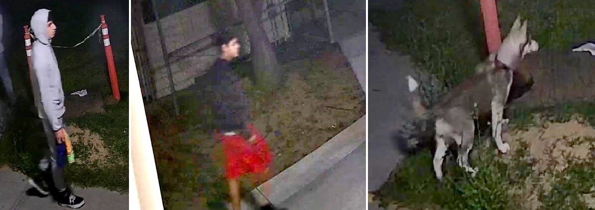 grover graffiti tri.jpg