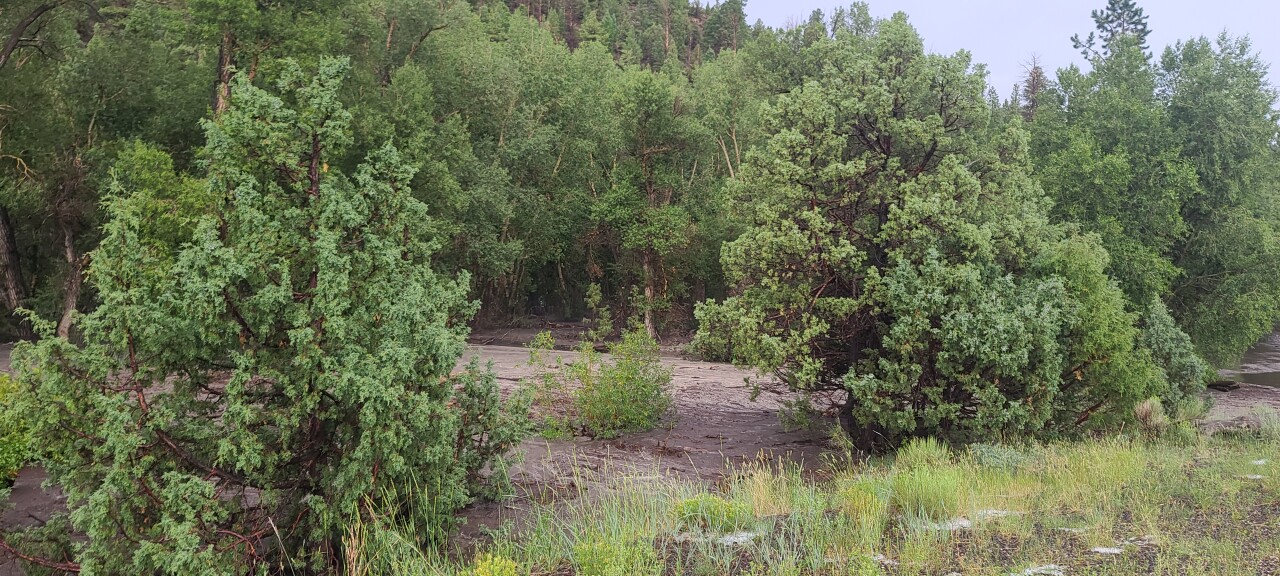 20210720_160547 (3).jpg