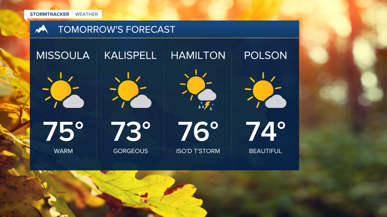 Friday Forecast