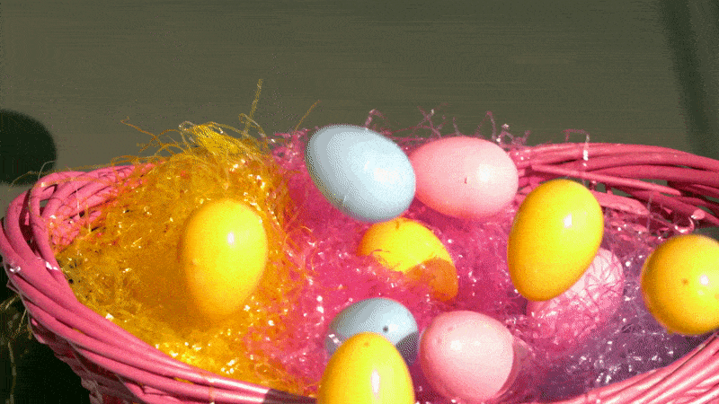 Pre-paid Easter Bunny repays North Olmsted families Pre-paid Easter Bunny repays North Olmsted families