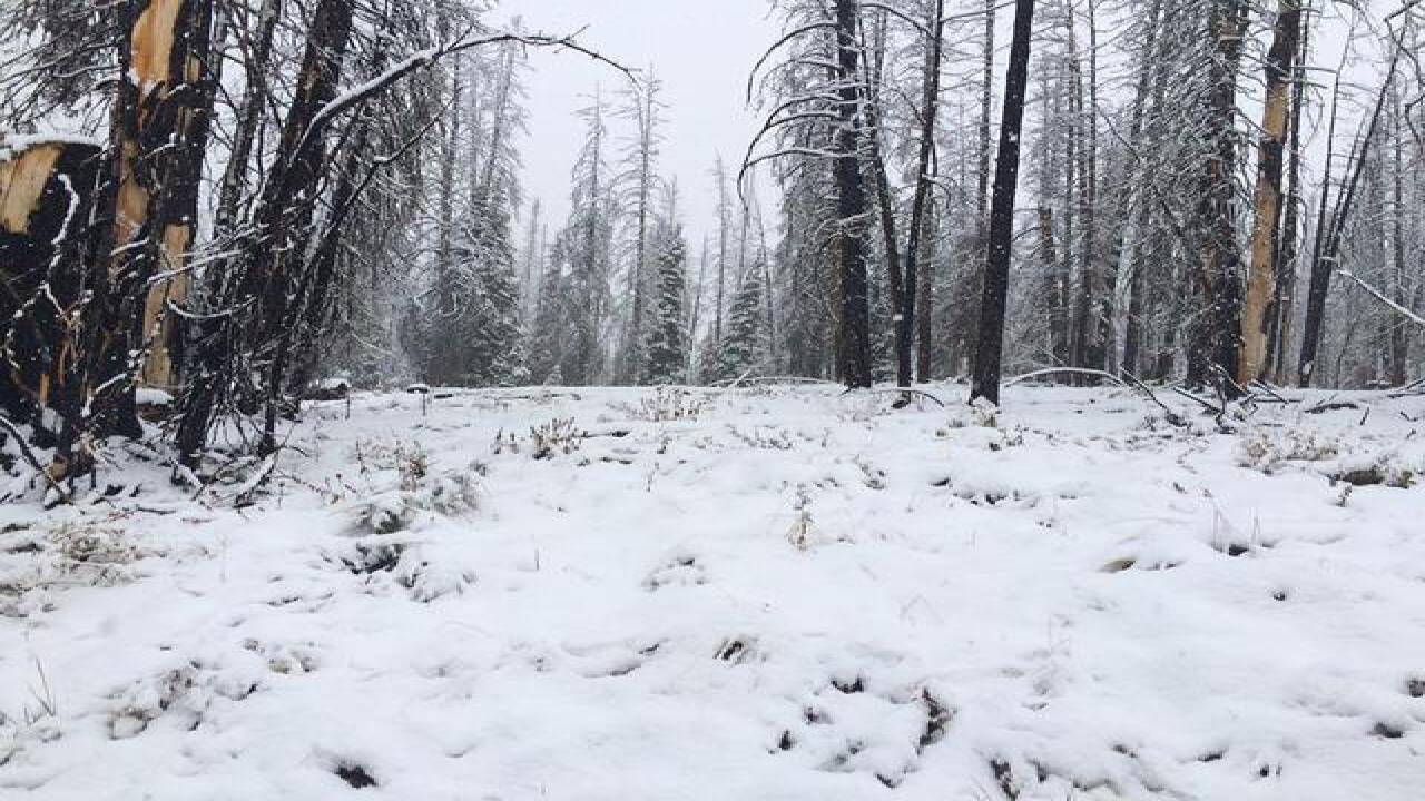Snow hits Idaho