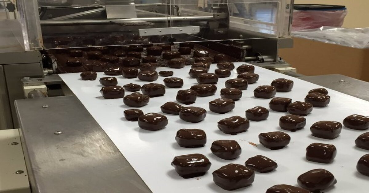 Platter's opens new chocolate factory