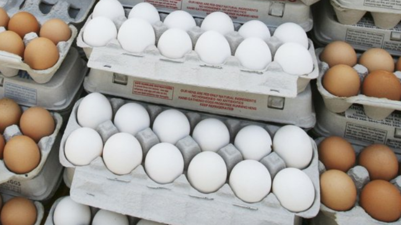 Are eggs good or bad for you? New research rekindles debate
