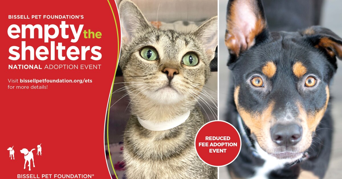 BISSELL Pet Foundation announces 'Empty the Shelters' event