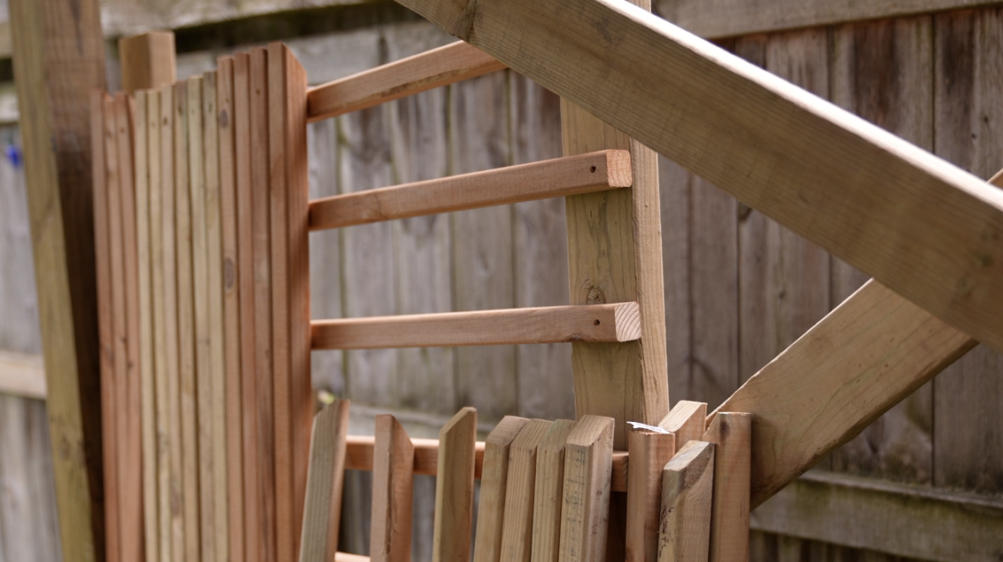 East Lansing family fighting to keep tree house