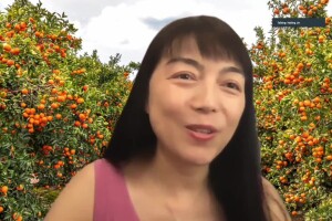 Geneticist Hailing Jin