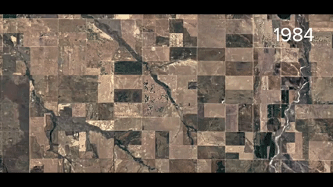 Animated GIF-downsized_large (2).gif