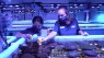 WPTV: Inside A New Effort To Protect Florida's Coral Reefs