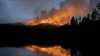 willow fire.jpg