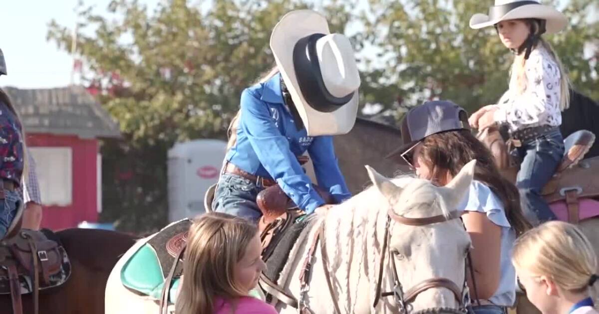 Two years after ‘Razzle’ was stolen, one junior rider is back in the saddle