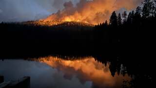 willow fire.jpg