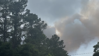 Fire burns hundreds of acres in Sopchoppy
