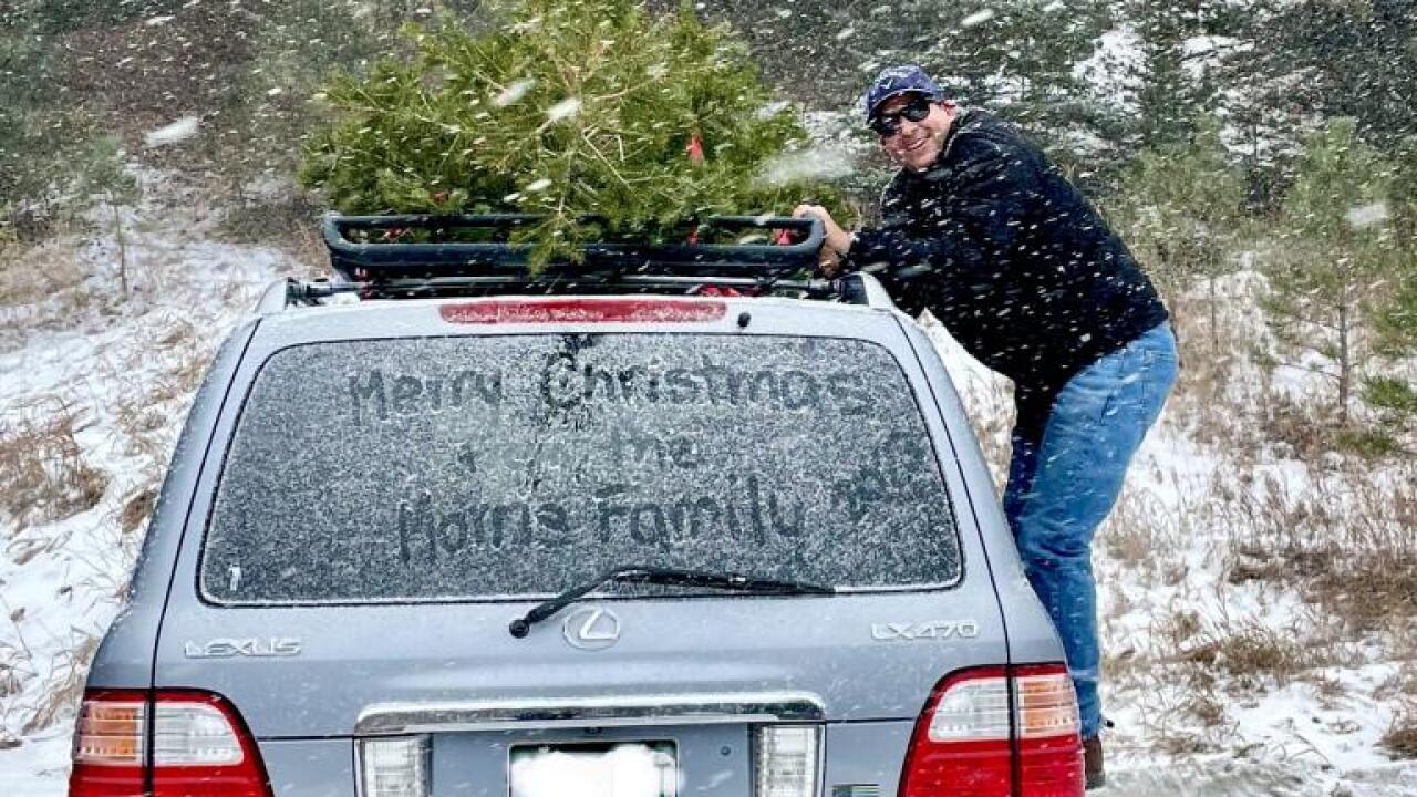 Golden Gate Canyon State Park Christmas tree