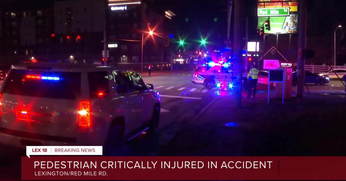 Pedestrian critically injured after being hit by vehicle on Red Mile Road