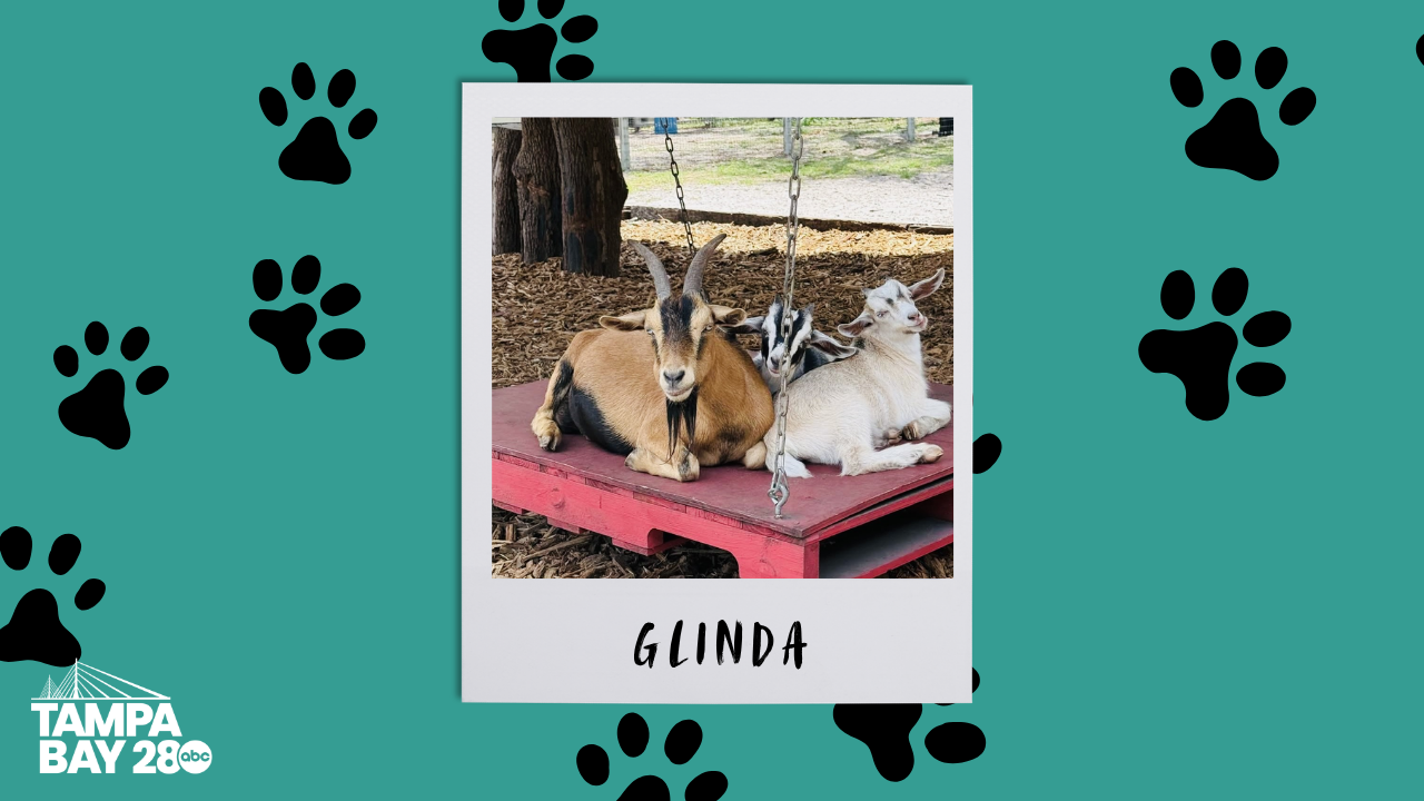 Glinda