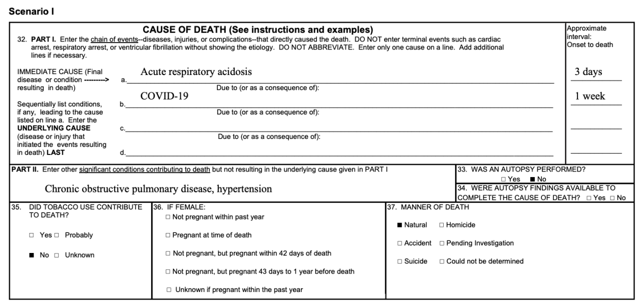 CDC Cause of Death Report Example 1