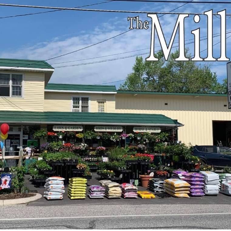 the mill1.jpg