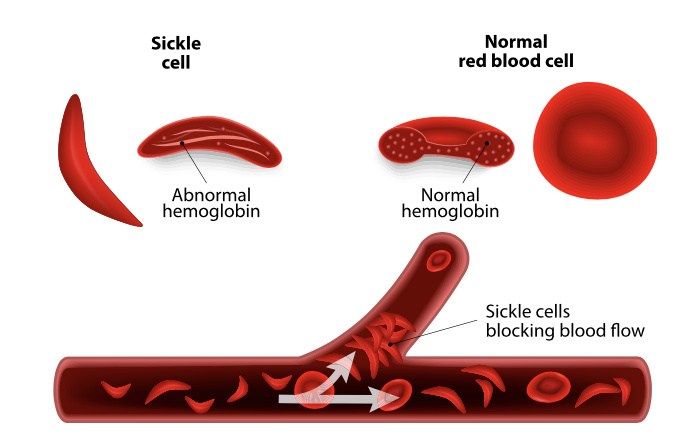 Screen Shot 2023-10-11 at 5.00.38 PM.png