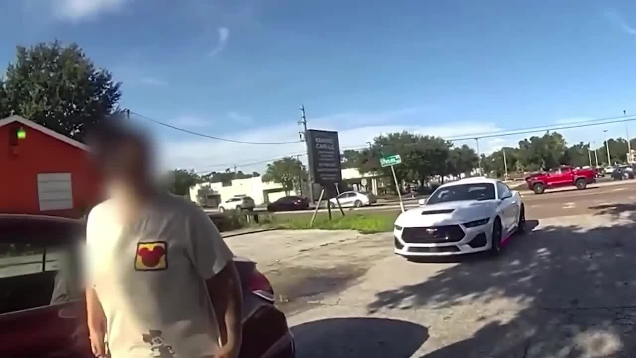 froggy stop.jpg