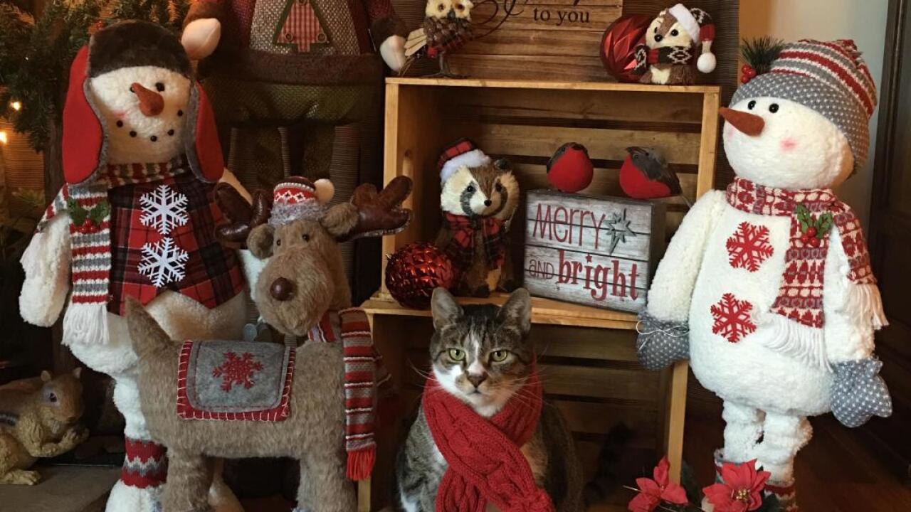 HolidayDecorations.jpg