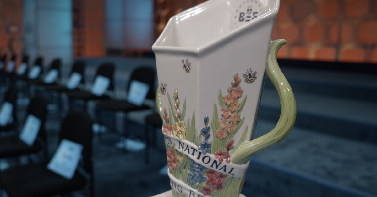 Winners from Scripps Regional Spelling Bee secure ticket to national competition