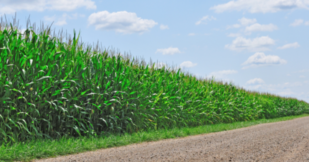 Our August weather may not be what you expect