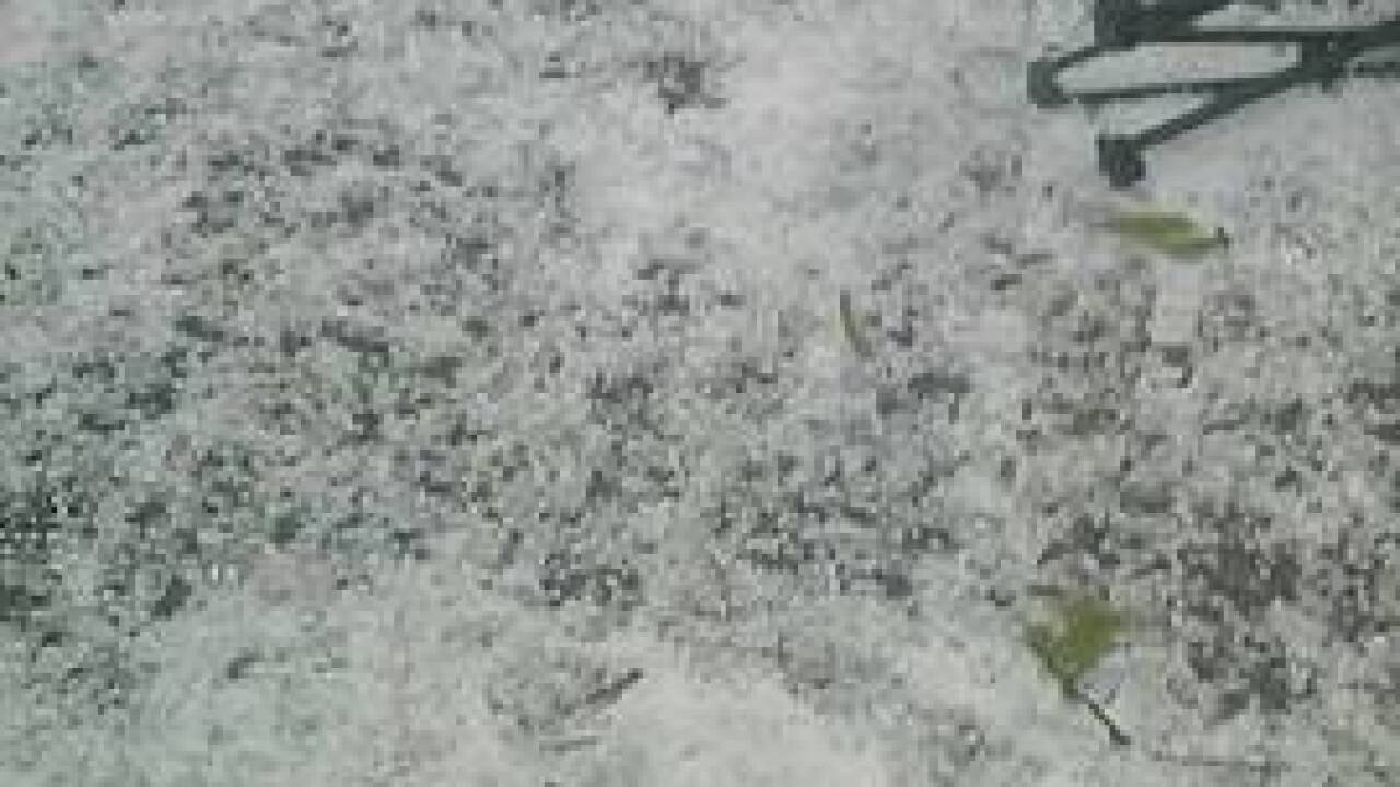 PHOTOS: Quarter-sized hail from April 26 storm