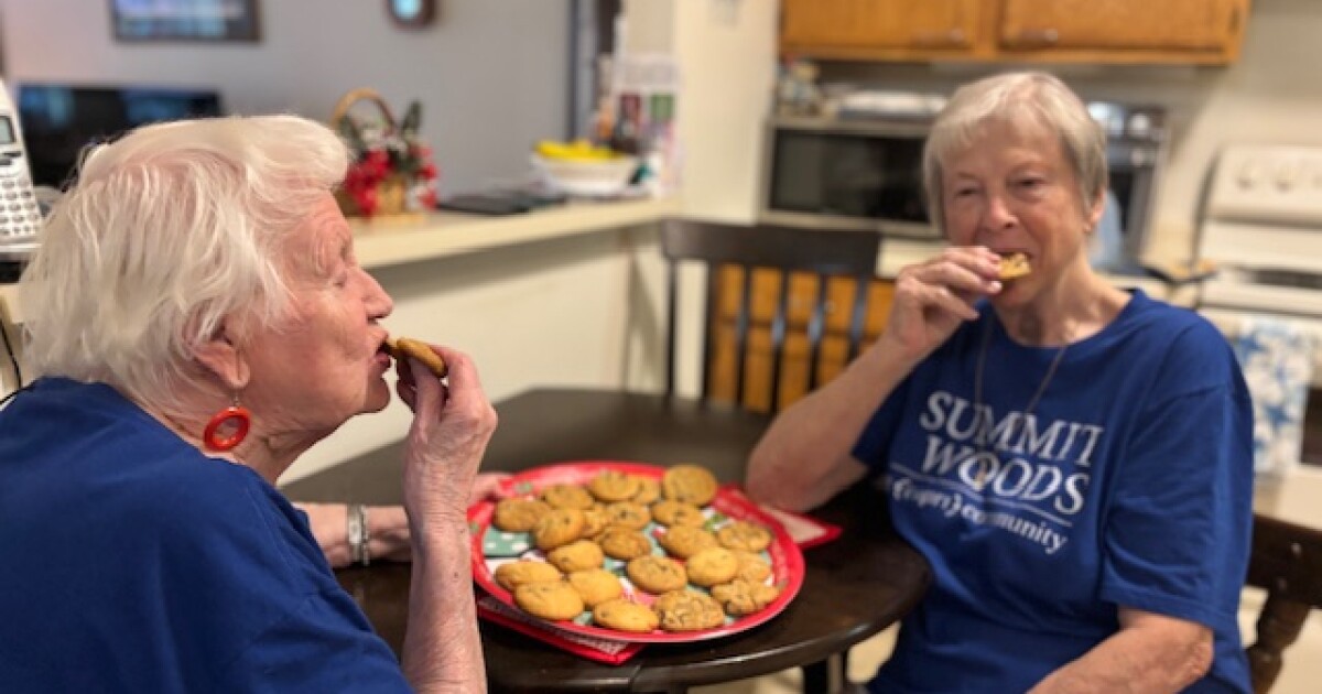 Waukesha Christmas Parade Video 