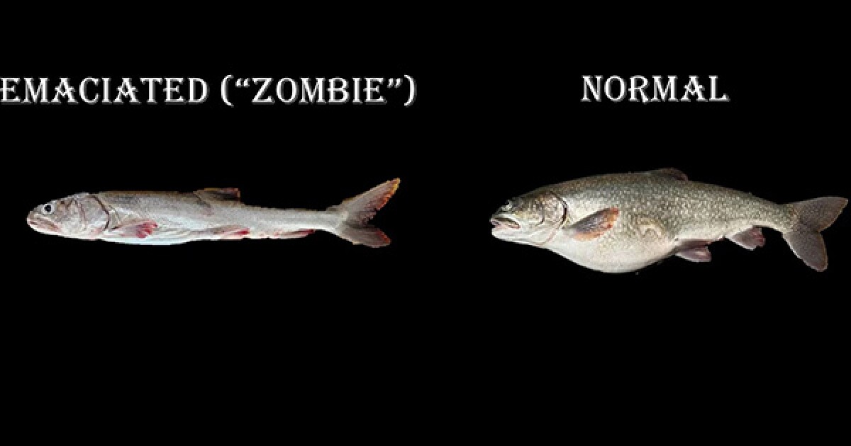 Researchers heading to deepest part of Lake Superior to inve