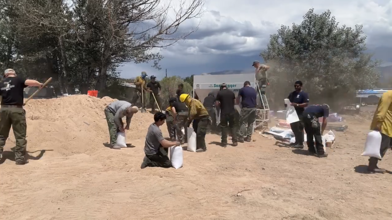 beaver cottonwood sandbagging.png
