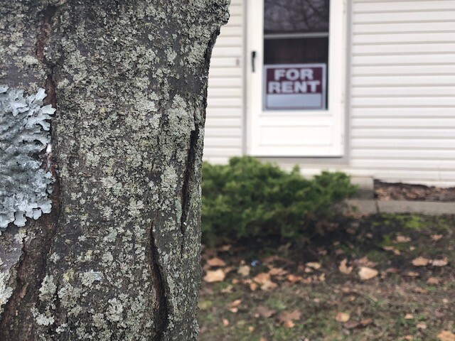 For Rent