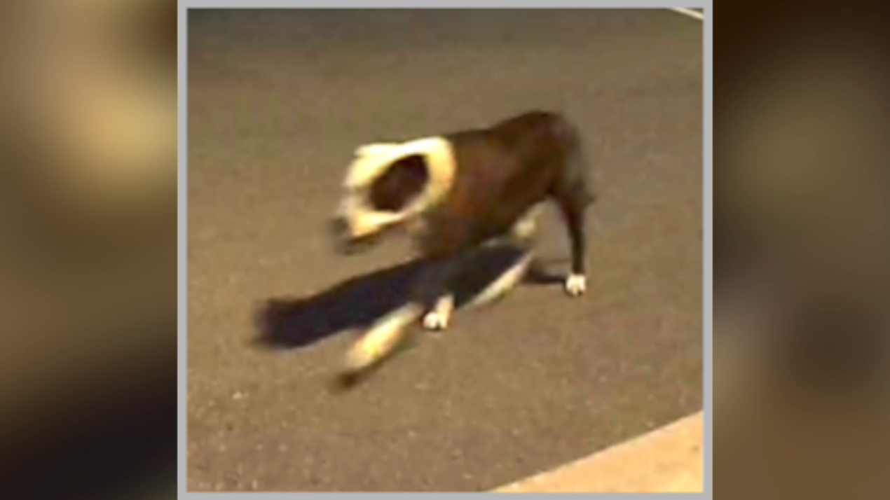 Screenshot 2026-03-30 at 11.04.26 PM.png