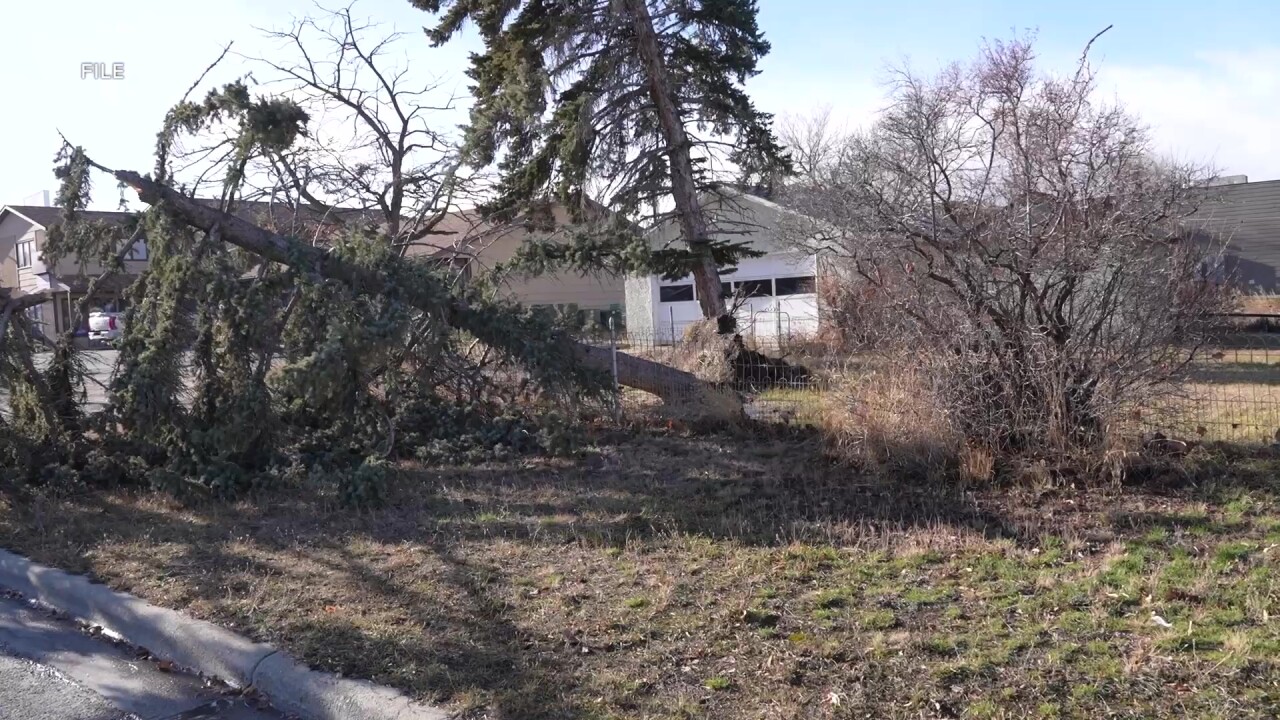 Tallying the damage from December's wind storm