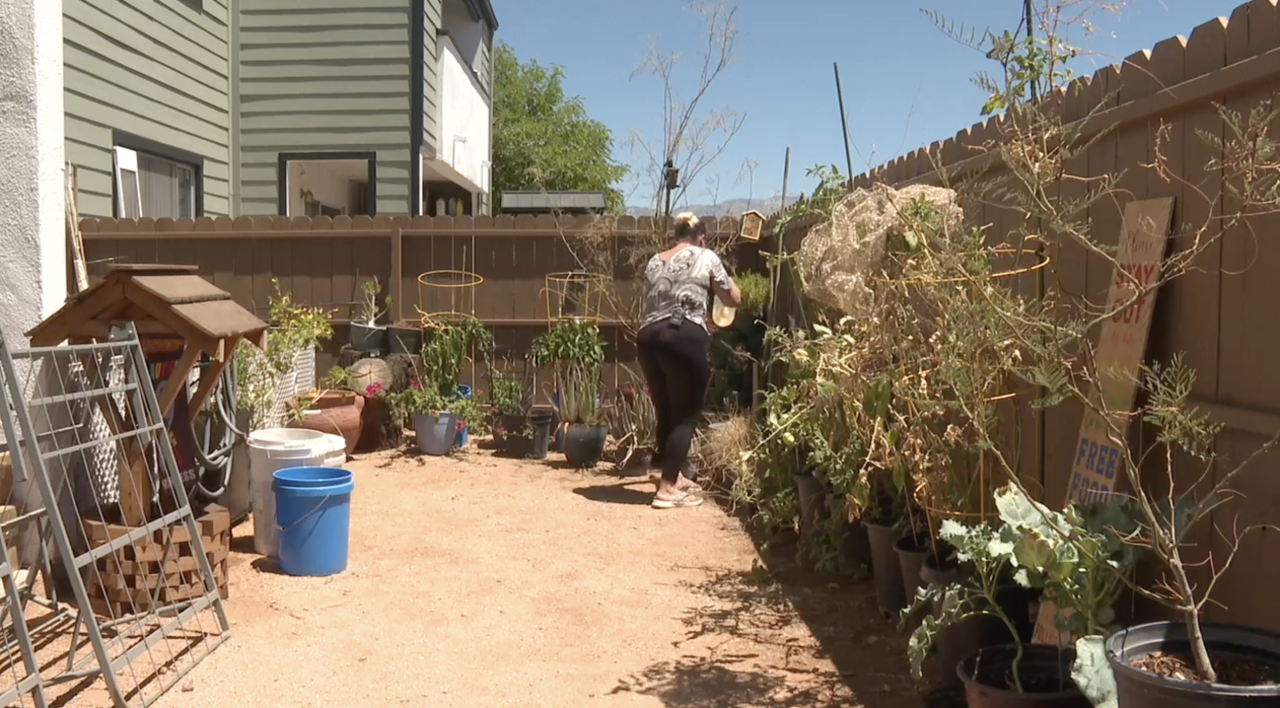 Ashley Altmeyer garden