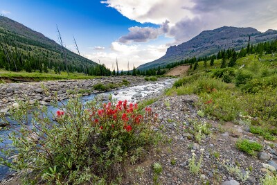 cache creek ynp