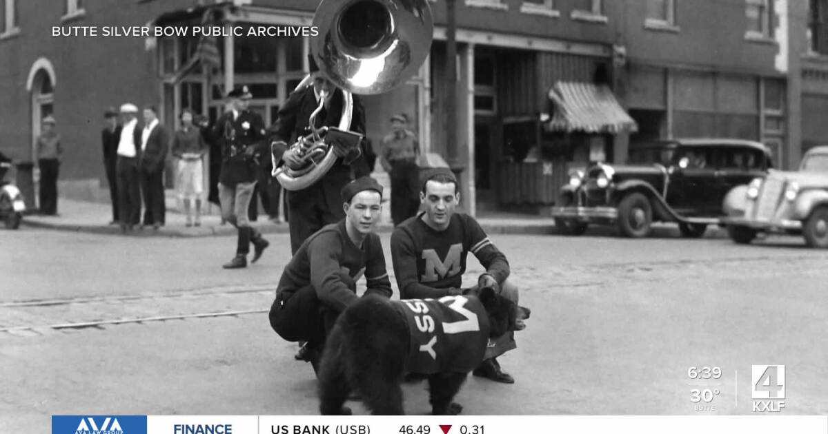 Friday Headlines: Brawl of the Wild, kidnapping, Tinworks