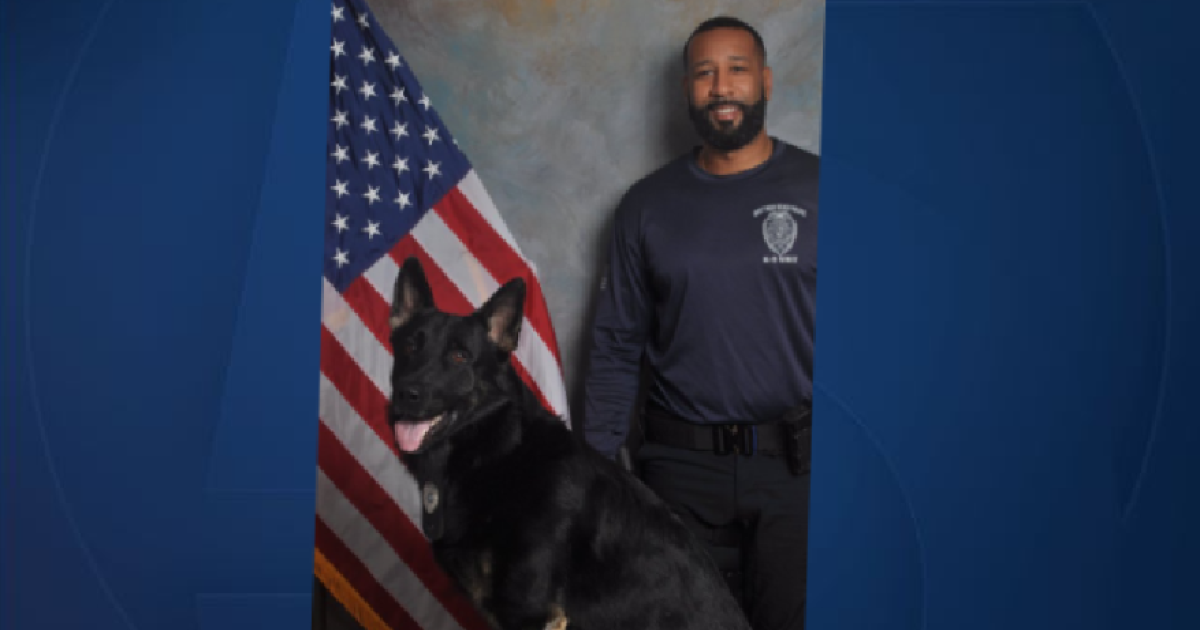 West Palm Beach Police Department K9 Odin to receive bullet, stab