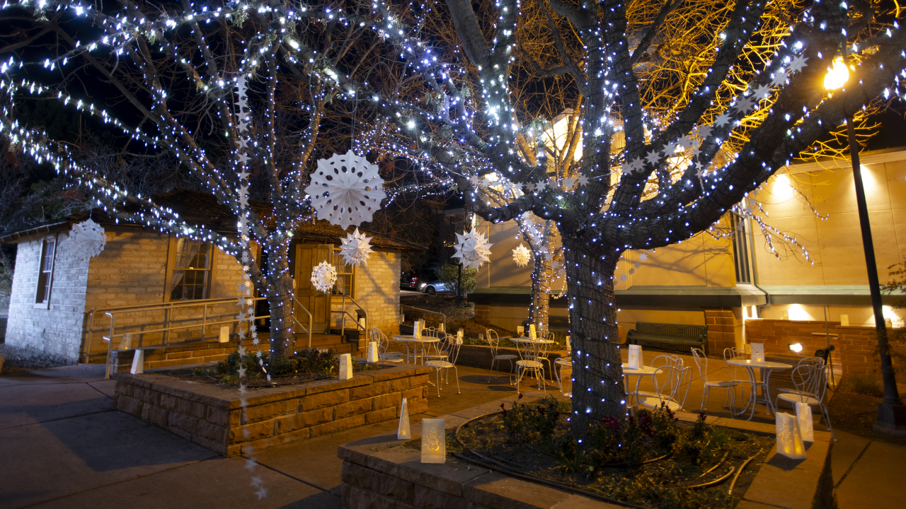 Hawks, holiday trees, bazaars and MORE happening across Utah this weekend!
