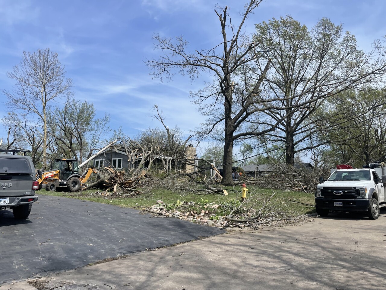 Ottawa Tuesday pic from Lily 5.jpeg