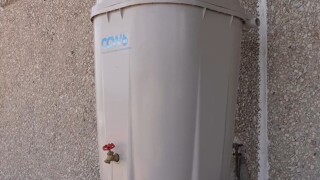 RAIN BARRELS