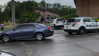 Hawaiian Terrace eight year old shot