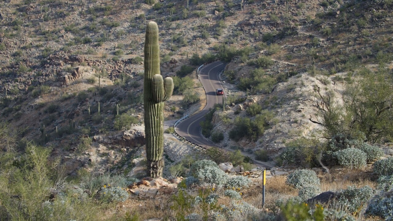 Telegraph Pass Trail.jpeg