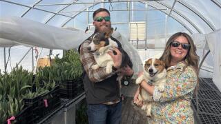 Wild Roots Flower Farm