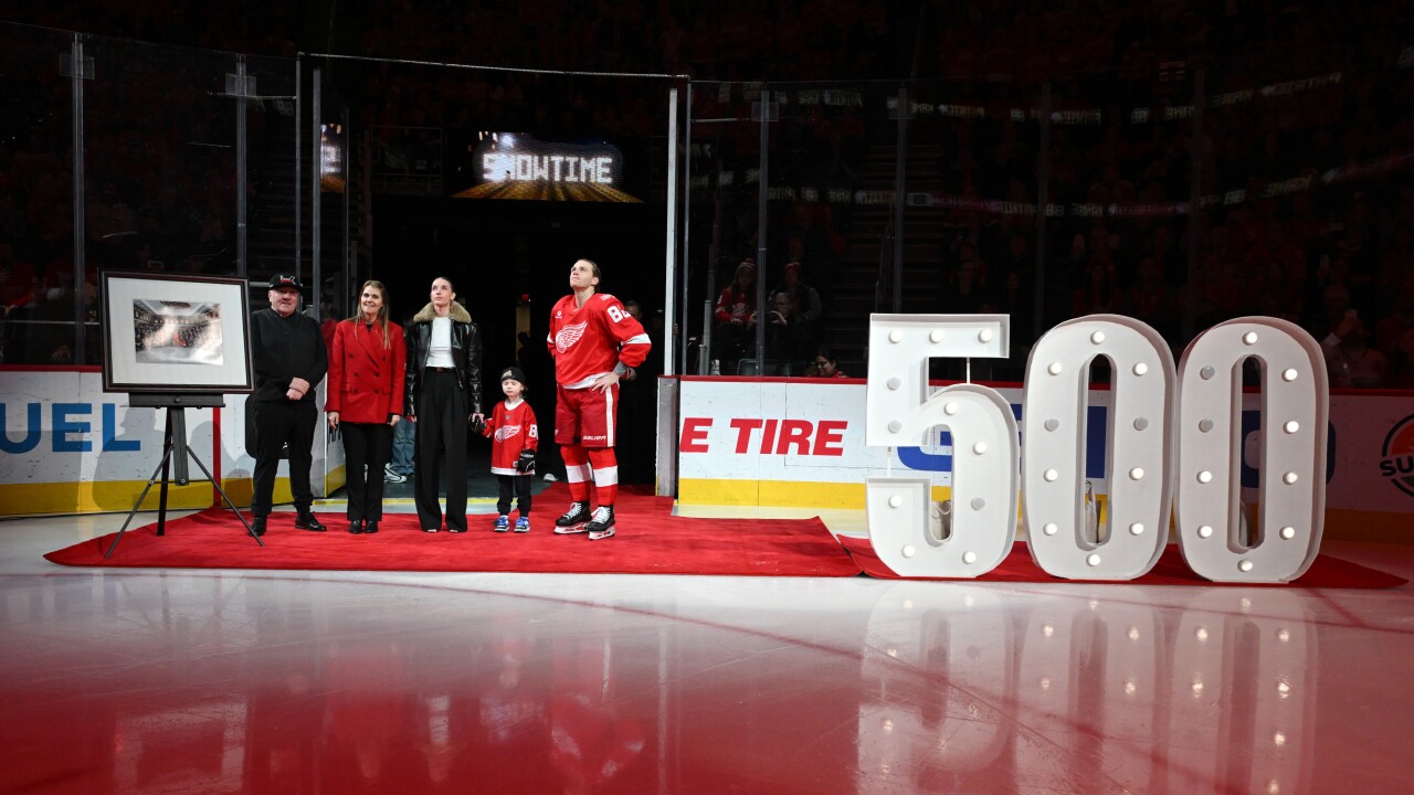 Senators Red Wings Hockey