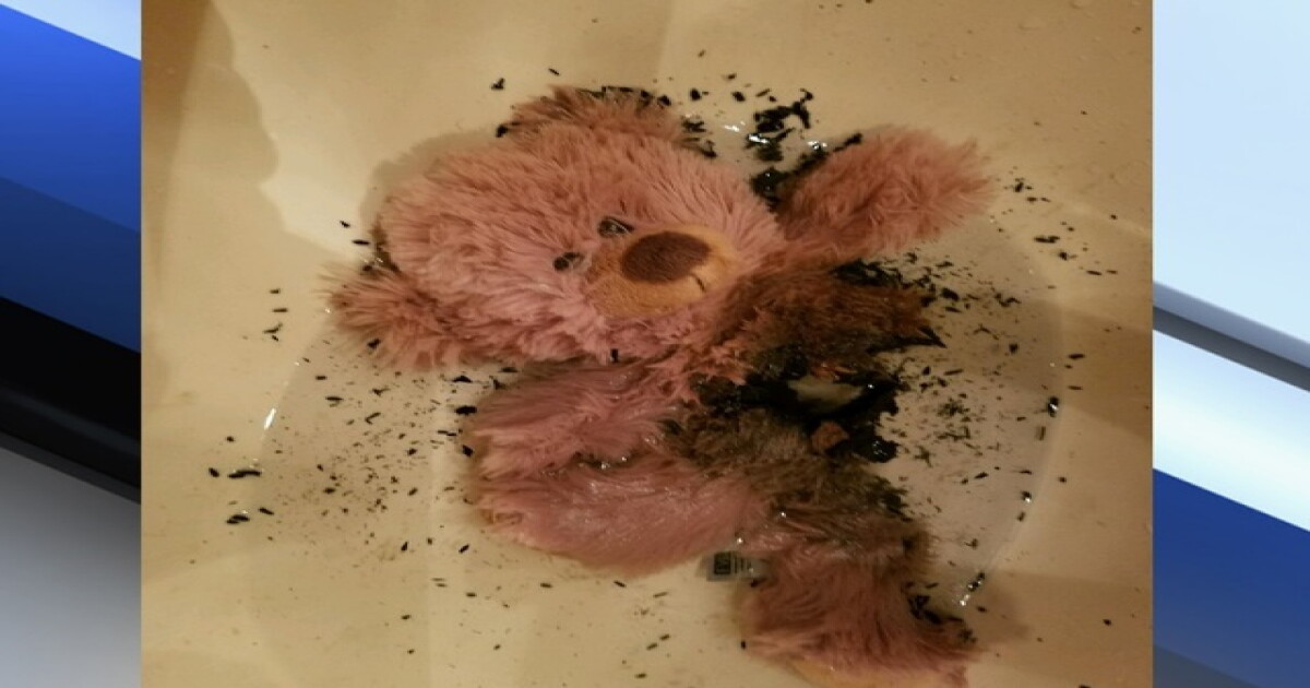 Show Low mom warning others about exploding toy